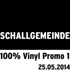 [SG001P] 100% Vinyl Promo Mix 1