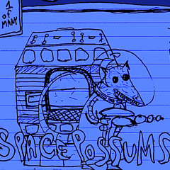 Space Possums
