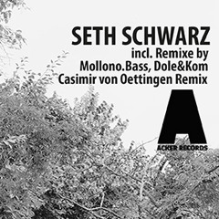 Seth Schwarz - Elysium (Original)