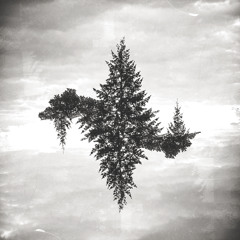 Twisted