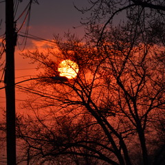 Year no winter Rough mix