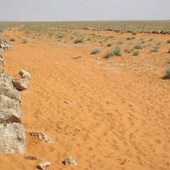 قصيدة في الزهد