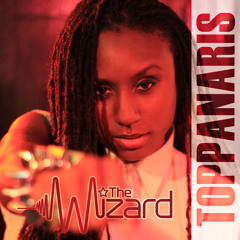The Wizard - TOPPANARIS