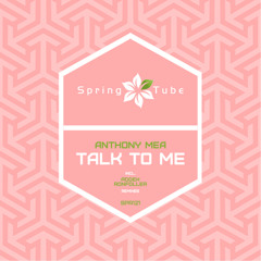 Anthony Mea - Talk To Me (Ronfoller Remix) [Spring Tube]