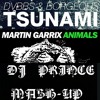 Martin garrix_animals vs tsunami_DVBBS and Borgeous (DJ PRINCE MASH - UP)