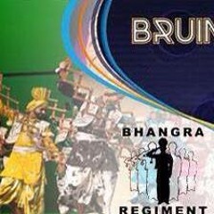 Bhangra Regiment @ Bruin 2014
