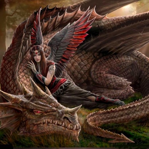 Sex dragon Dragon Porn