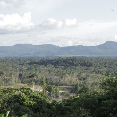 Thunder in the tropical forest of Venezuela