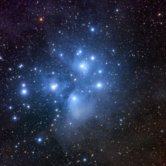 low with the flow w/ dino