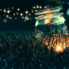 Firefly Island