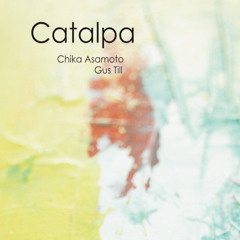 Catalpa
