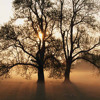 Serenity