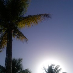 Like the Wind (Como el Viento)