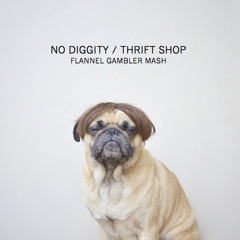 No Diggity / Thrift Shop