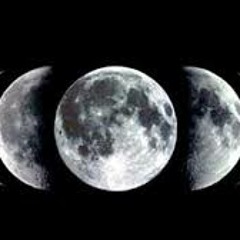 Demo & Phantz - Entities Pt3