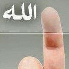 قولى لماذا لا تصلى ..فارس ..المصرى