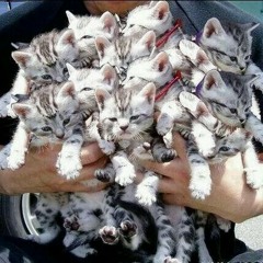 Tere Bina Lagta Nahi Mera Jiya - OST Kal Kissne Dekha  [snippet]