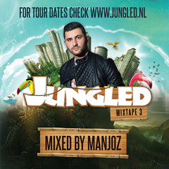 Electronic Dance/House