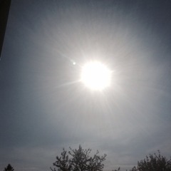 Made this on a Tuesday