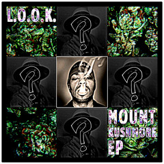 Method Man - Meth Tical On Tha Buddha (M.E.T.H.O.D. Man L.O.O.K. Remix)