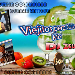 VIEJITOS PERO CALIENTES MIX - DJ ZEUS