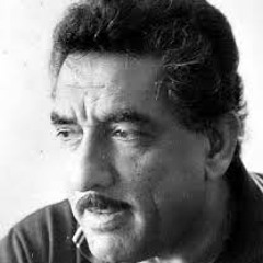 محمد جواد اموري  ~  شضحيلك