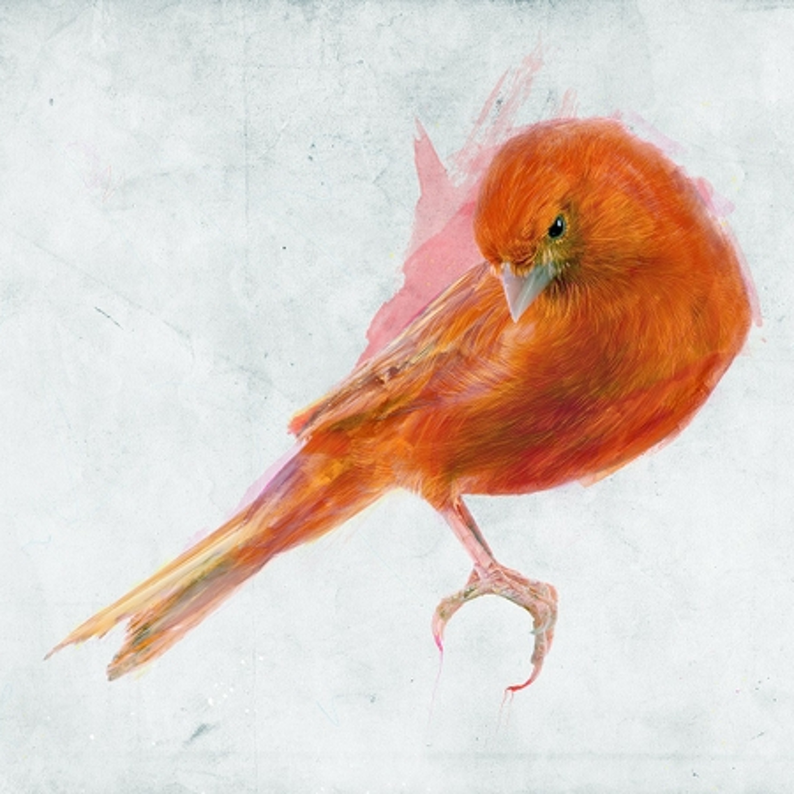 Leitura Viva - Ana Luisa Lacombe