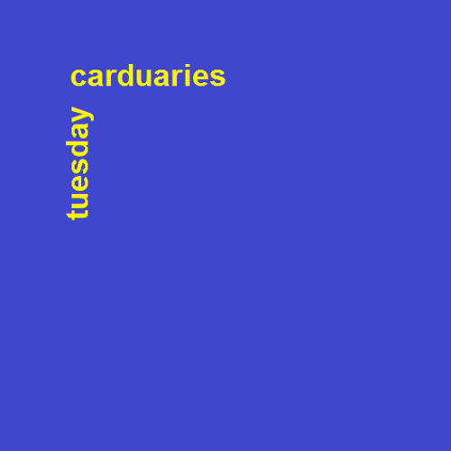 Carduaries - Tuesday