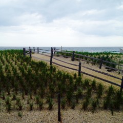 Egg ZACKLEY - Over Easy Volume 2 [Extended Set]