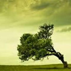 Smoke My Tree Biggcityvisions Mixtape Prod. By Fleetwood