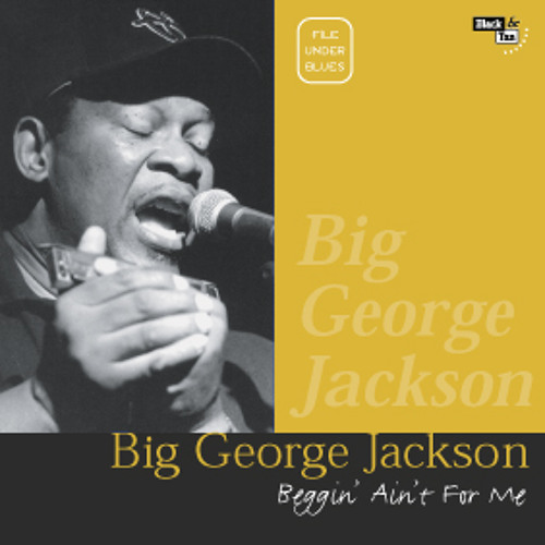 Shake Your Moneymaker - Big George Jackson