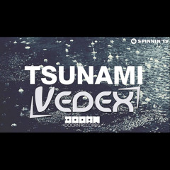 Tsunami (Vedex Remix) DVBBS & Borgeous (FREE DOWNLOAD)
