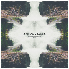 Å.Silva x Tamia - Stranger In My House (Remix)
