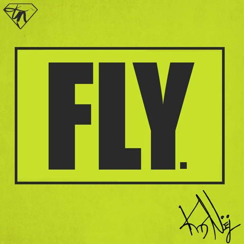 Kris Noel - Fly