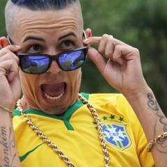 Mc Brankin   Passinho Do Romano(2014).mp3