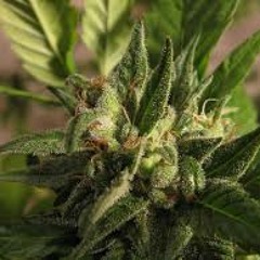 Grand-Smoke Sumn Ft KJ, YungLegend