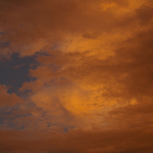 Come Prima (Northwestern University performance)