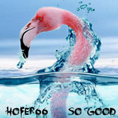 hofer66 - so good - ibiza global radio - 140526