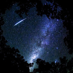 Shooting Star + Girl From North Country (Bob Dylan Mashup) - Peter Su