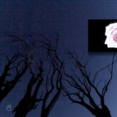 Sami Suova - Yours Completely