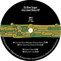 Eins Zwei Disco EP LSR002 Sampler - 12" vinyl out NOW!