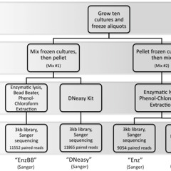 They Do Make You Different...Don't They?
