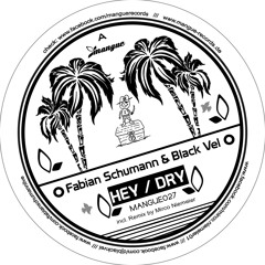 Fabian Schumann & Black Vel - Hey (Original)