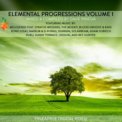 Puru - Koyuki (Original Mix) Preview [Pineapple Digital]
