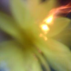 King Let It Go and Sink Into Oblivion. My Head Is A Jungle #499