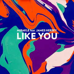 Like You feat. James Hersey