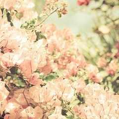 Cinta Dan Airmata-Bahrain