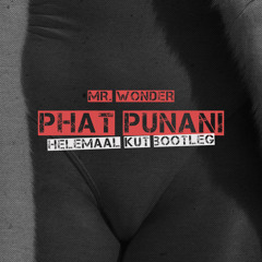 Mr. Wonder - Phat Punani (Helemaal Kut Bootleg)