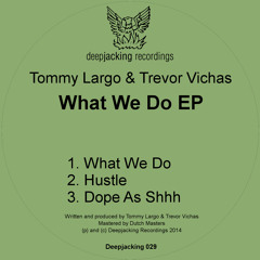 DJ029 Tommy Largo & Trevor Vichas - What We Do EP (SC Preview)