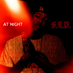 At Night by S.E.D.